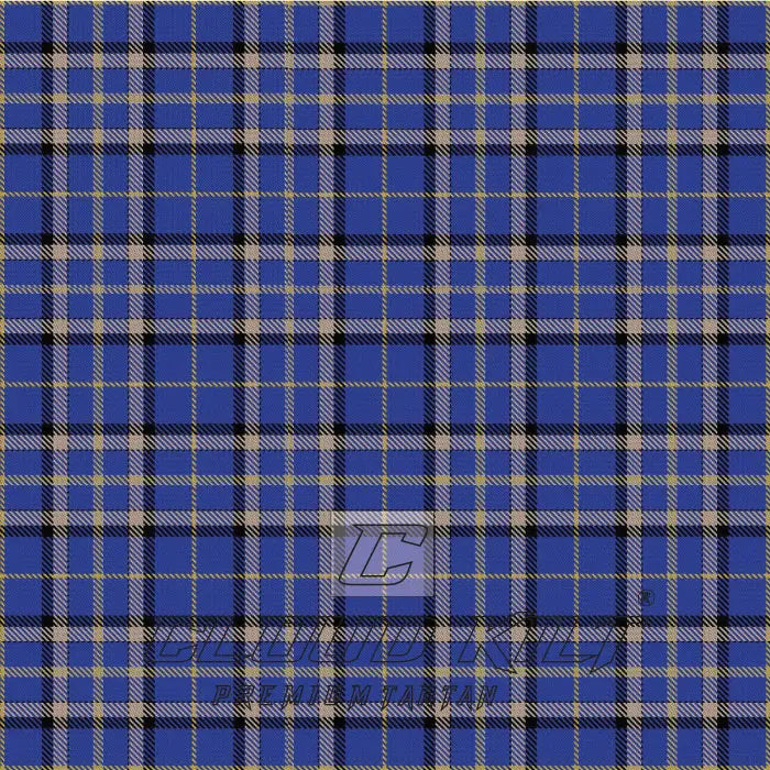 Eva Edward Tartan CLOUD KILT