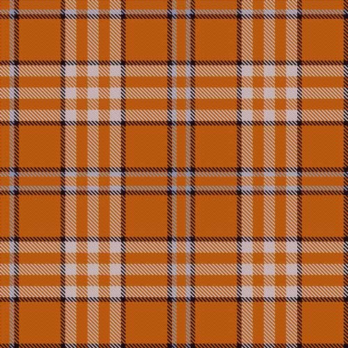 Tartan Swatch N to Y
